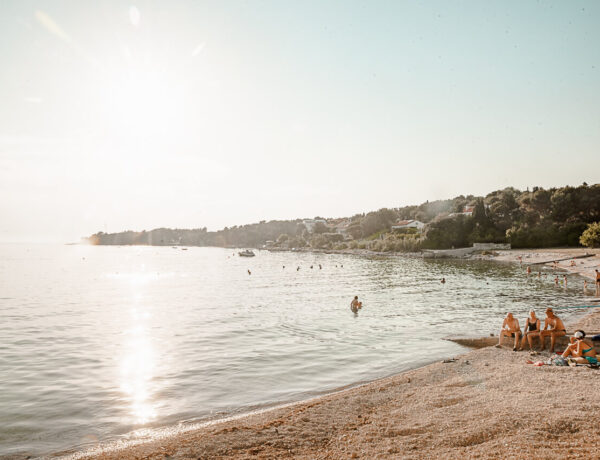 Longing for a Paradise