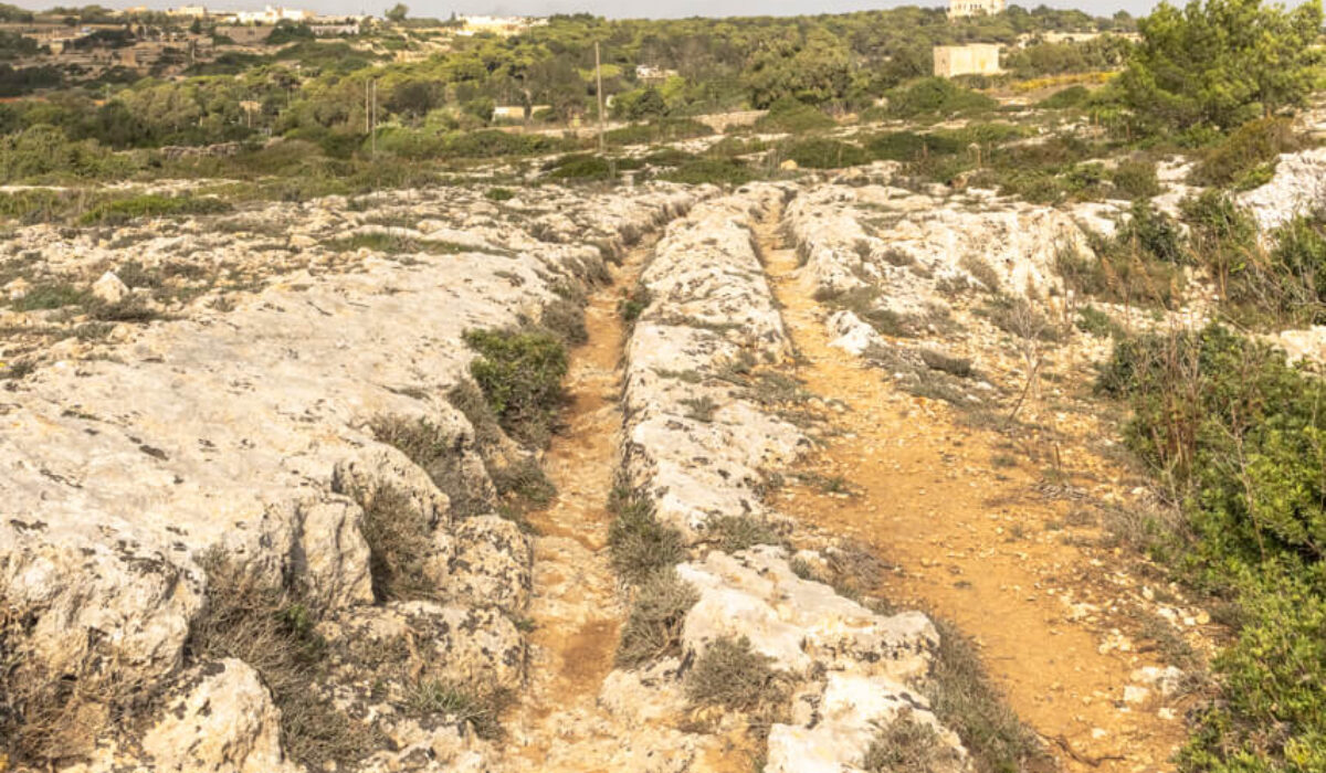 On The Trail Of The Giants: Clapham Junction Cart Ruts