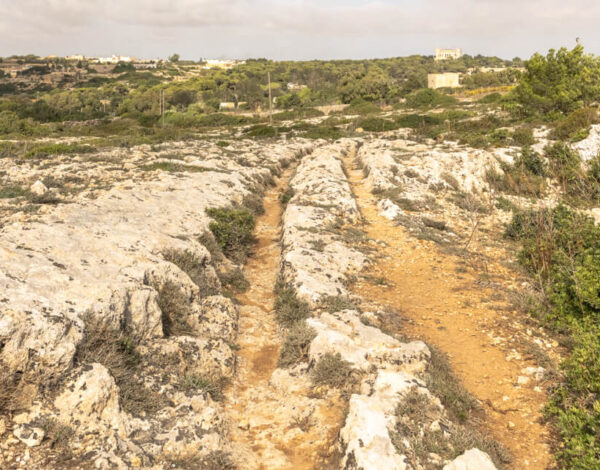 On The Trail Of The Giants: Clapham Junction Cart Ruts