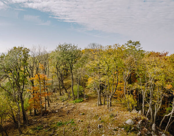 Nature Park Föhrenberge: Anninger 675 m