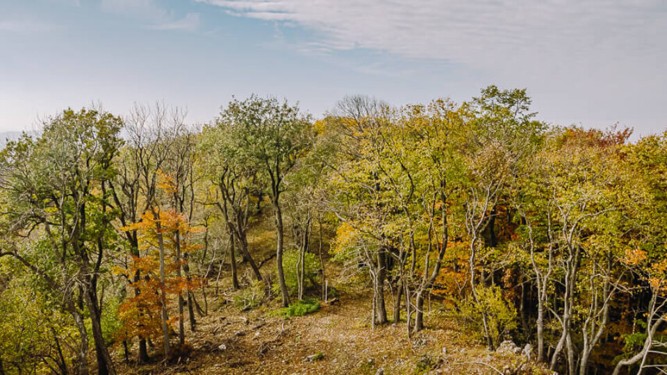 Nature Park Föhrenberge: Anninger 675 m
