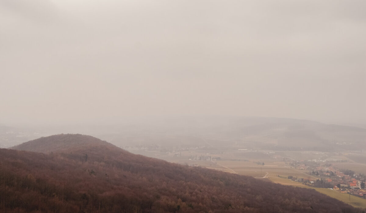 Buchberg 469 m