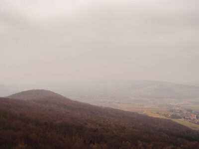 Buchberg 469 m