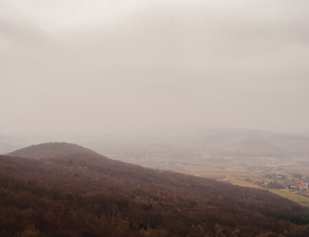 Buchberg 469 m