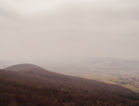 Buchberg 469 m