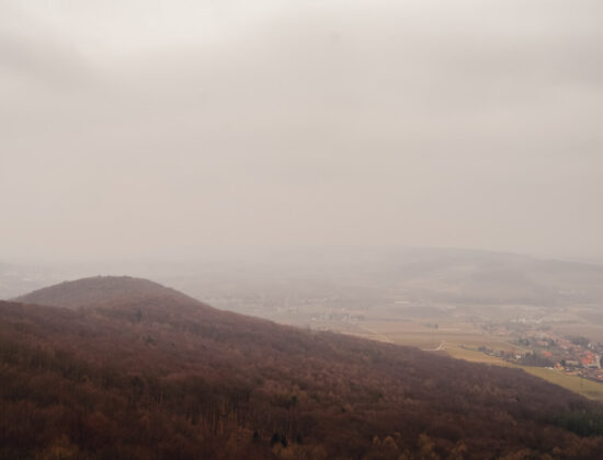 Buchberg 469 m