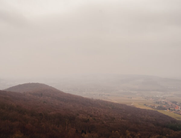 Buchberg 469 m