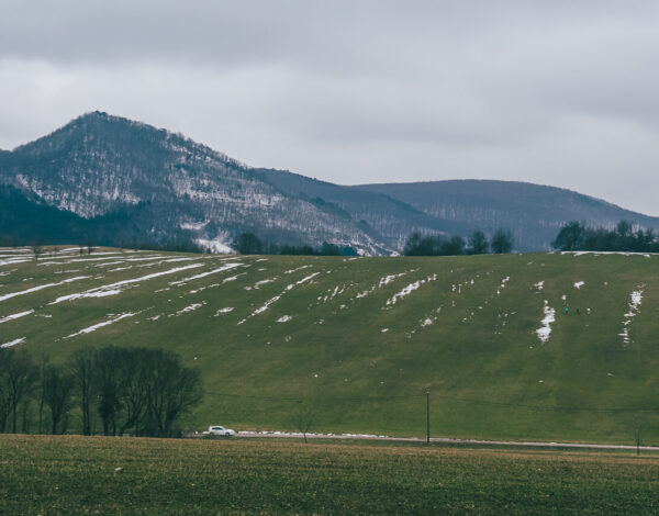 Vienna: Stadtwanderweg Nr 6
