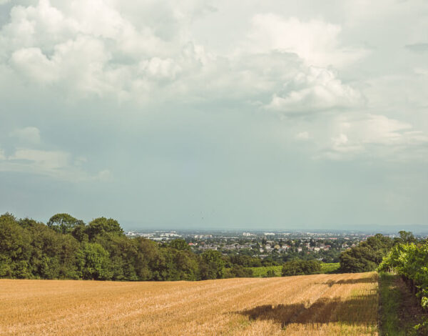 Vienna: Stadtwanderweg Nr 6 & Wotruba Church