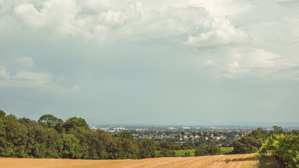 Vienna: Stadtwanderweg Nr 6 & Wotruba Church