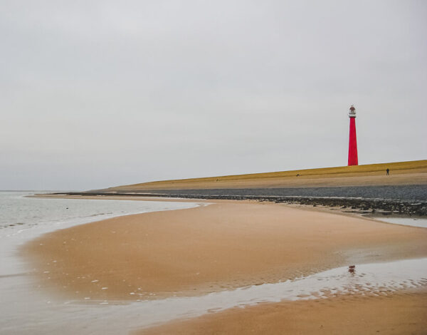 NETHERLANDS & BELGIUM: Shared Freedom