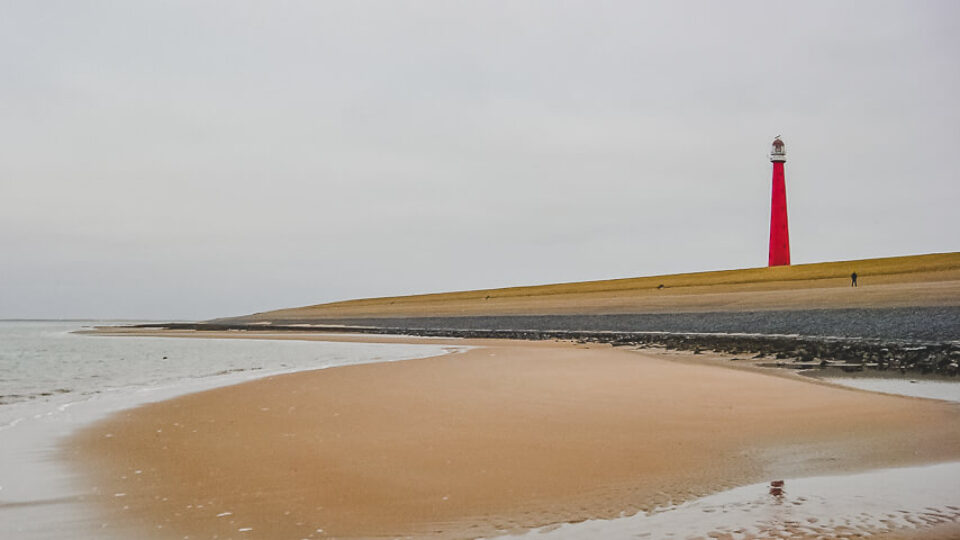 NETHERLANDS & BELGIUM: Shared Freedom