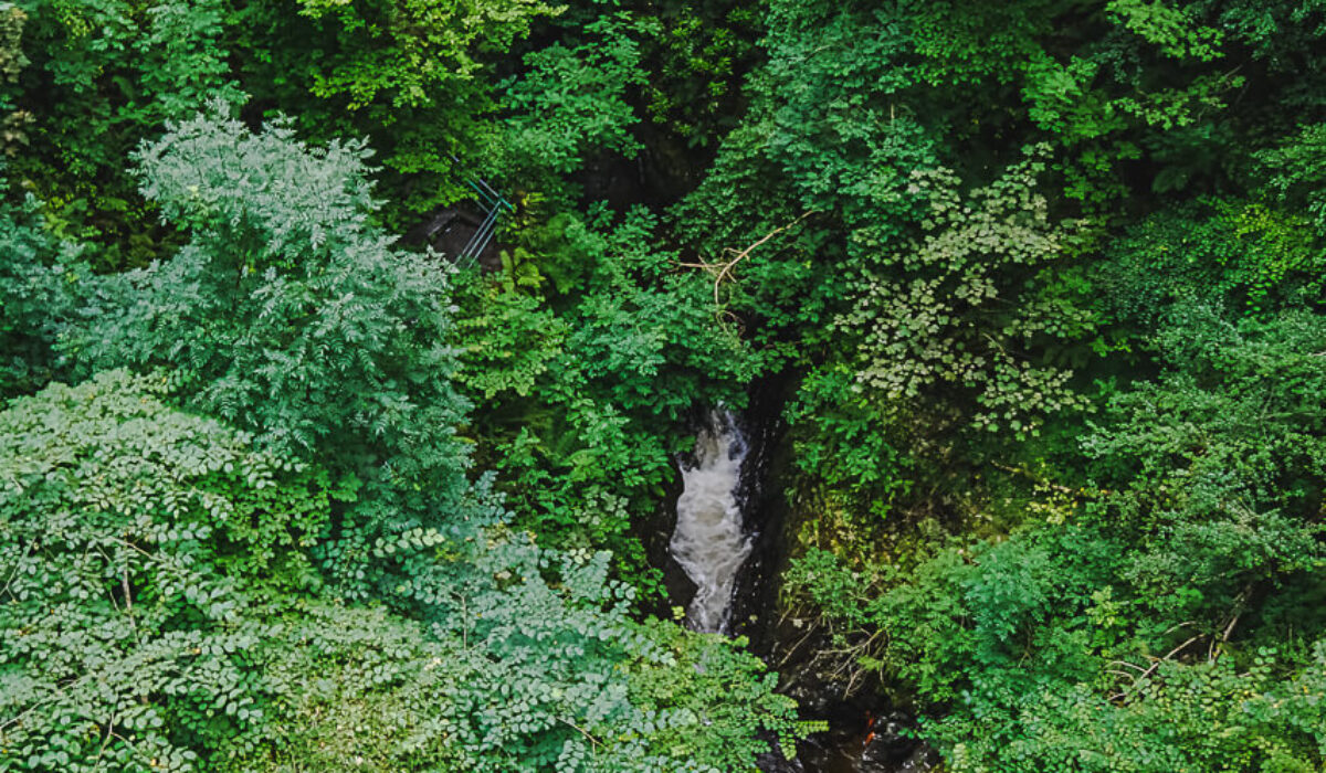 Devils Bridge Falls