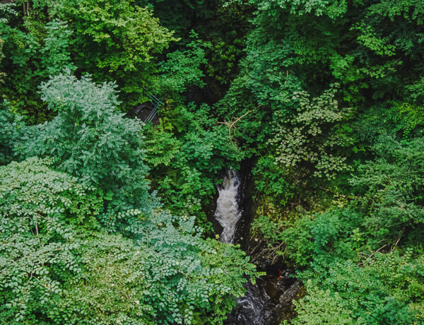 Devils Bridge Falls
