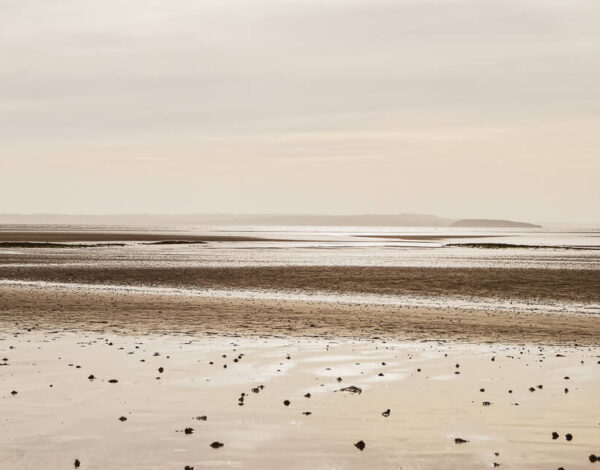 A Collection of Landscape Photos