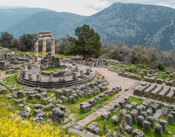Delphi –  Consulting the Oracle