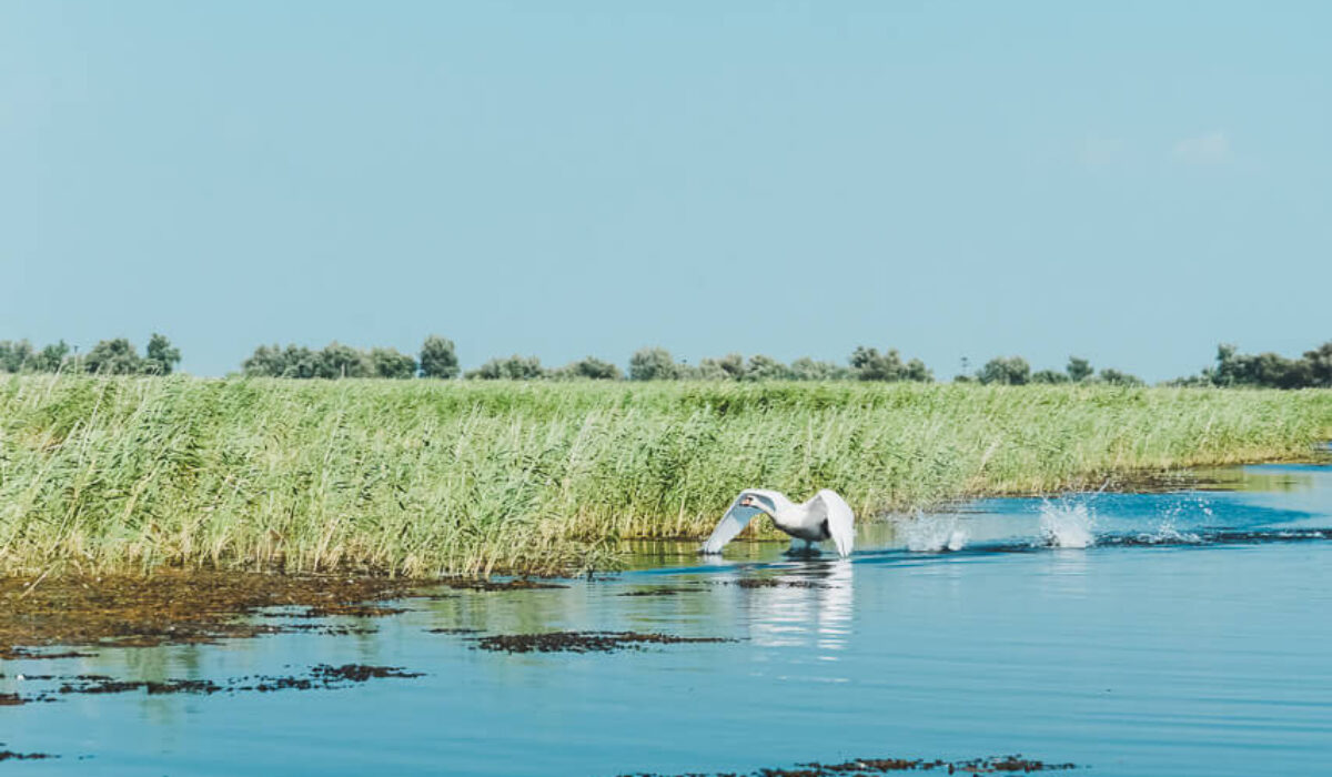 The Danube Delta & Lake Razim