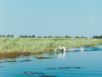 The Danube Delta & Lake Razim