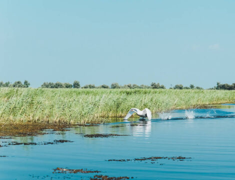 The Danube Delta & Lake Razim