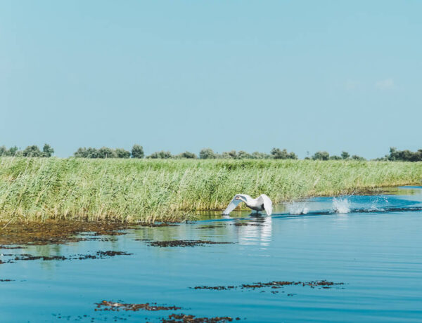 The Danube Delta & Lake Razim