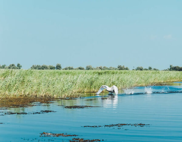 The Danube Delta & Lake Razim