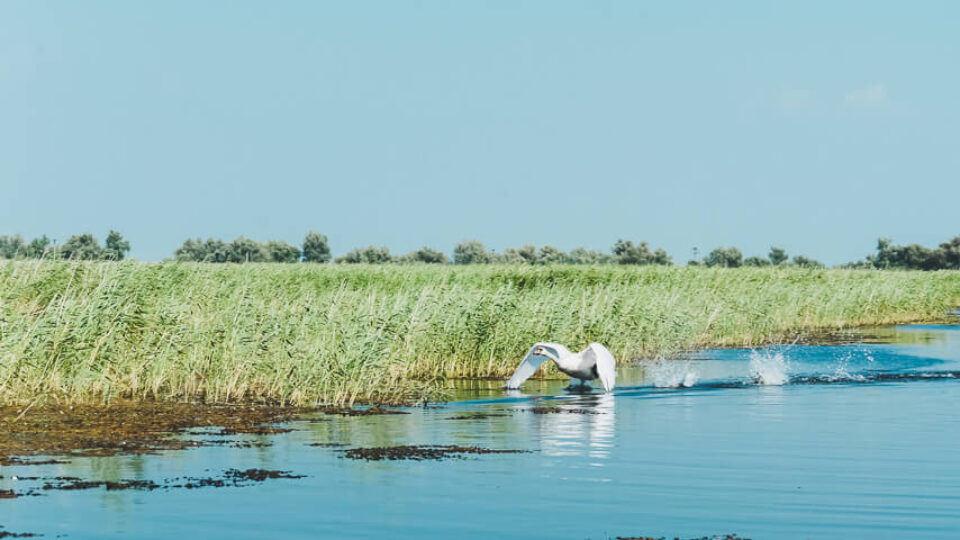 The Danube Delta & Lake Razim