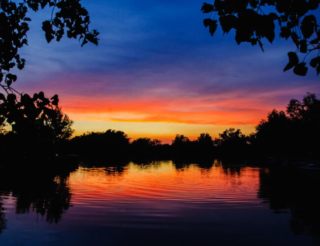 ROMANIA – The Delta & The Mountains