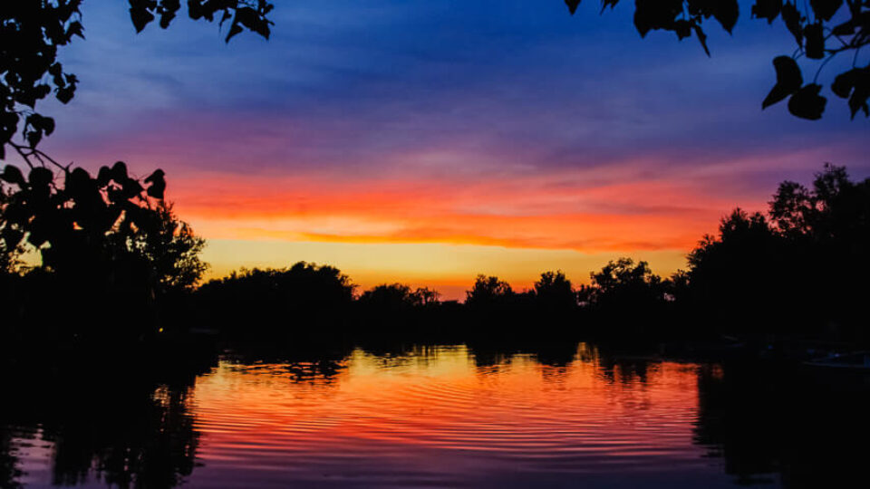 ROMANIA – The Delta & The Mountains