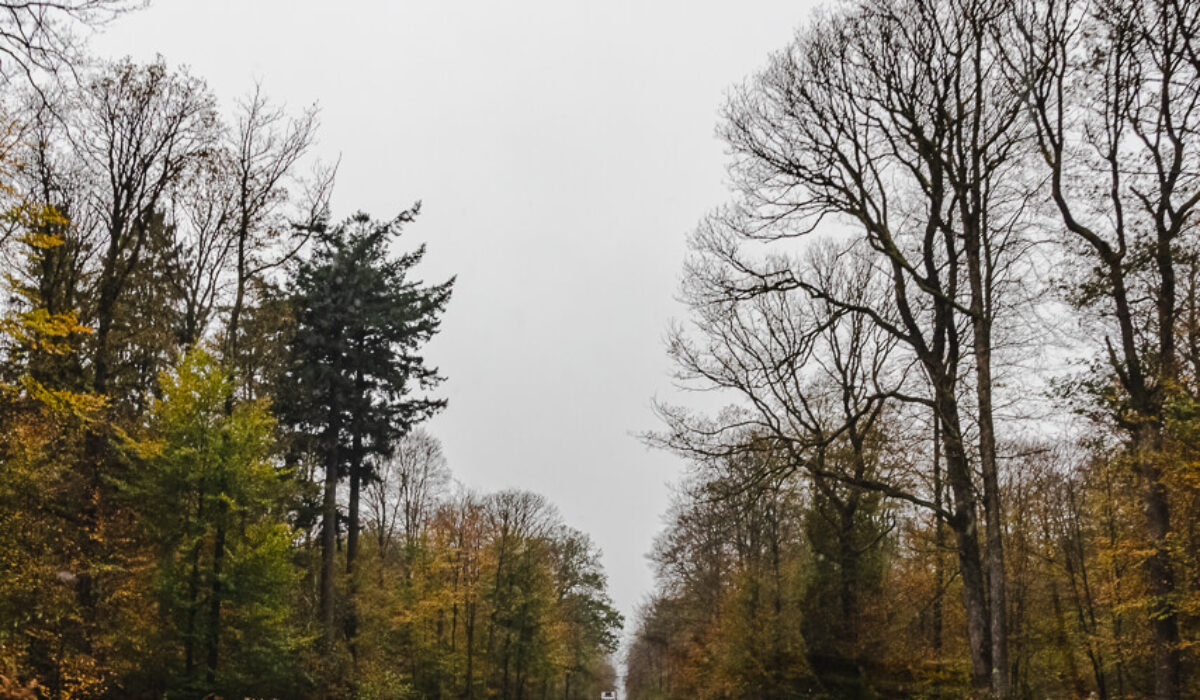 BELGIUM, LUXEMBOURG &  NETHERLANDS