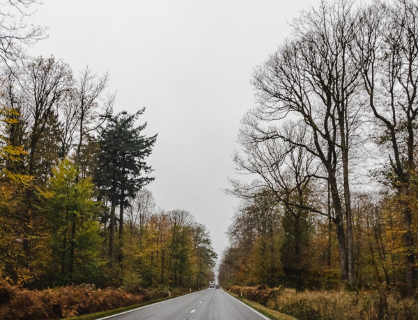 BELGIUM, LUXEMBOURG &  NETHERLANDS