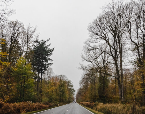 BELGIUM, LUXEMBOURG &  NETHERLANDS