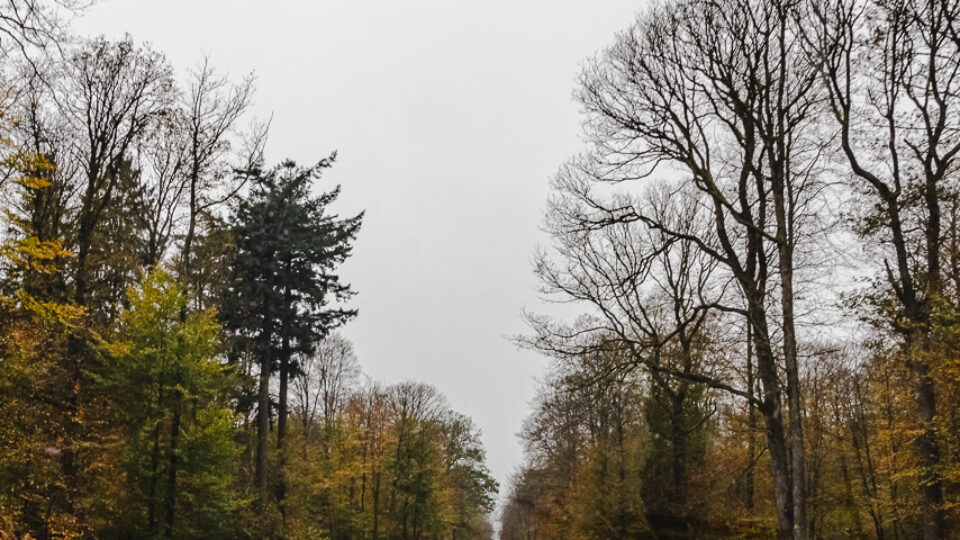 BELGIUM, LUXEMBOURG &  NETHERLANDS