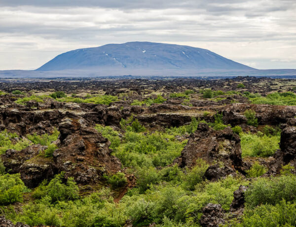 Dimmuborgir –  Myvatn-Laxá Region