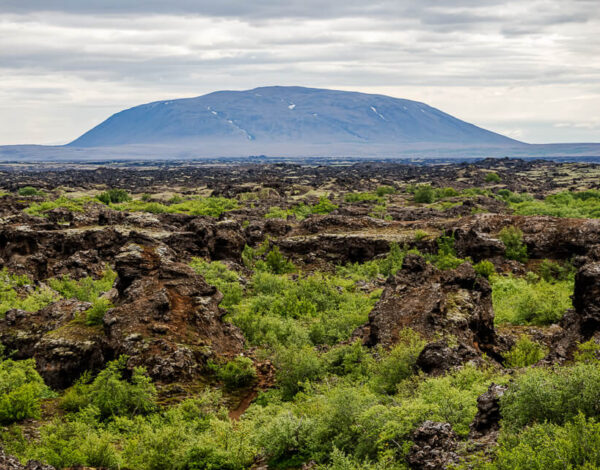 Dimmuborgir –  Myvatn-Laxá Region