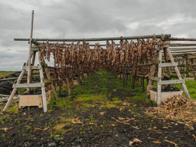 Hardfiskur