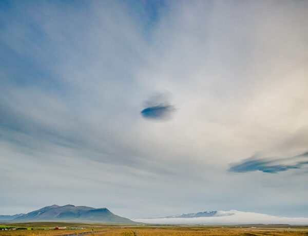 Landscapes on the Edge of the Road