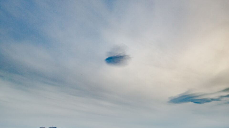 Landscapes on the Edge of the Road