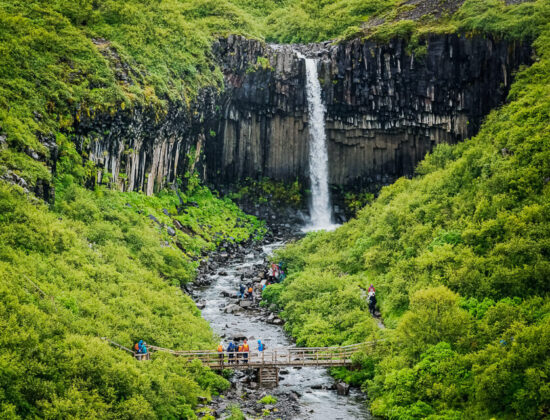 Svartifoss – Vatnajökull National Park