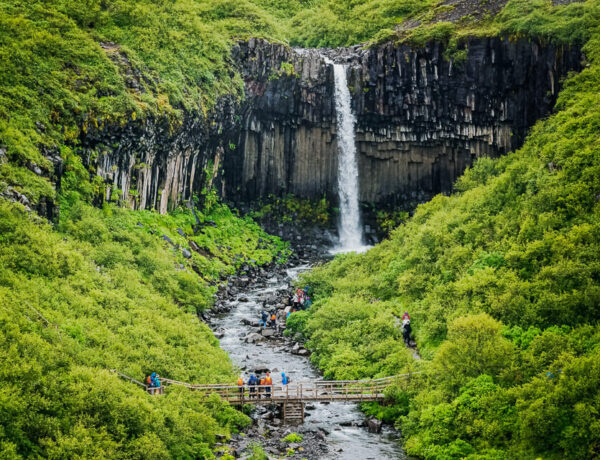 Svartifoss – Vatnajökull National Park