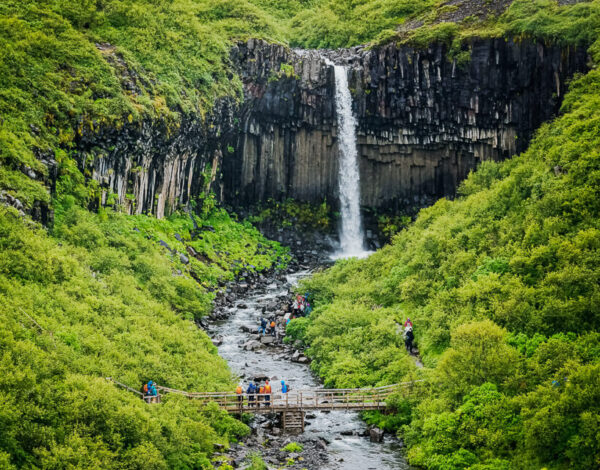 Svartifoss – Vatnajökull National Park