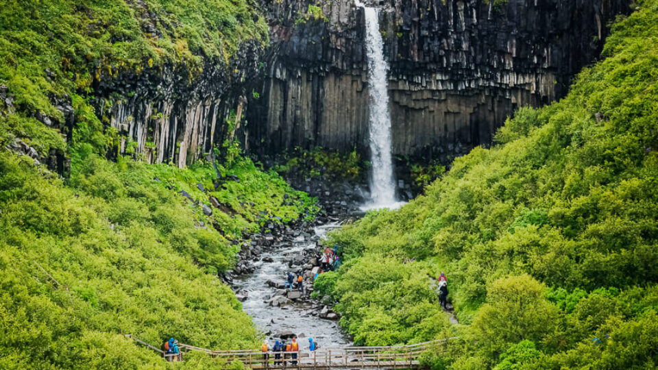 Svartifoss – Vatnajökull National Park