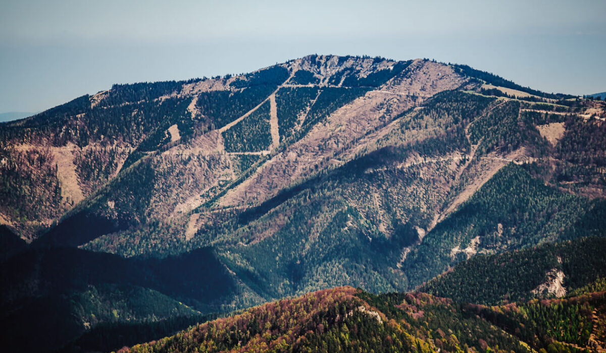Reisalpe 1399m