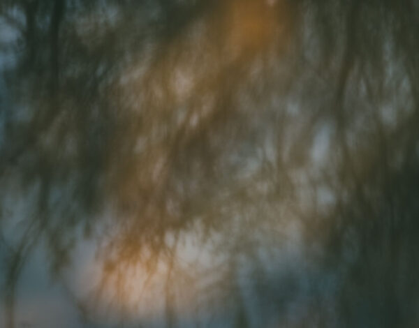 Vienna: Stadtwanderweg Nr6 & Wotrubakirche