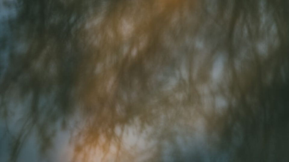 Vienna: Stadtwanderweg Nr6 & Wotrubakirche