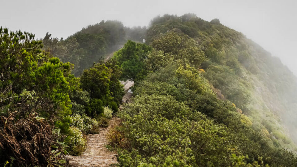 Lookout Points on the GM-2