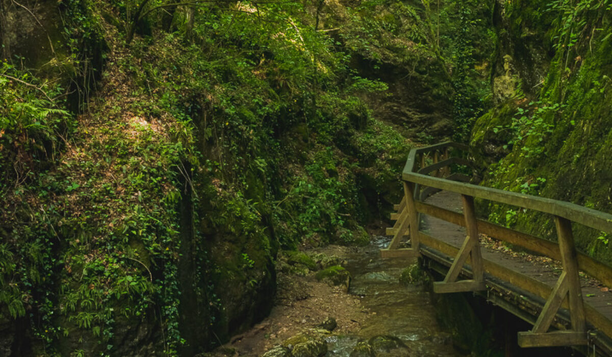Ruin Schrattenstein & Johannisbachklamm