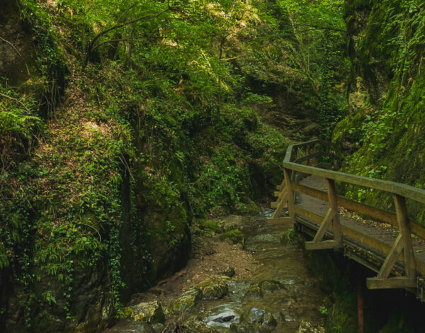 Ruin Schrattenstein & Johannisbachklamm