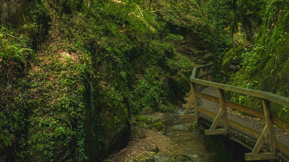 Ruin Schrattenstein & Johannisbachklamm