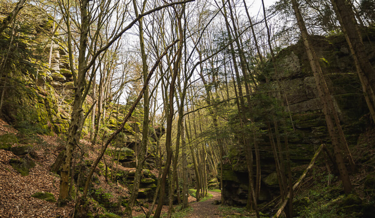 Bacharnsdorf: Kupfertal & Römerwege