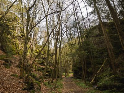 Bacharnsdorf: Kupfertal & Römerwege